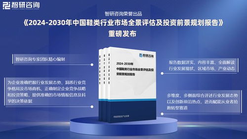2024版中国鞋类行业市场发展前景分析报告 智研咨询发布，技术开发与技术咨询引领新增长